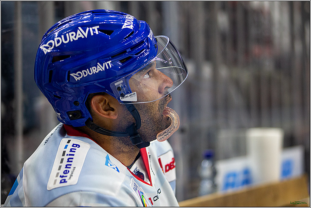 PENNY DEL; Koelner Haie- Adler Mannheim; Koeln, 04.11.2022